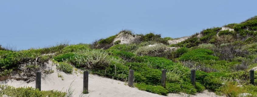 When to Visit Port Aransas