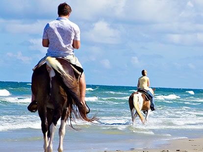 Horse back riding on the beach