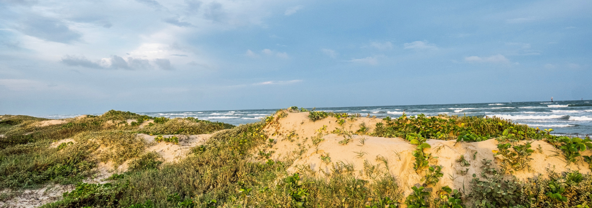 Mustang Island State Park