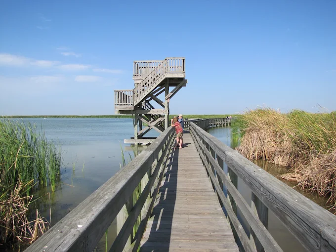 Leonabelle Turnbull Birding Center