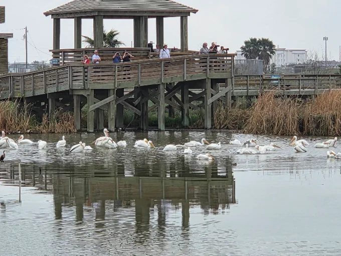 Nature Preserve at Charlie's Pasture